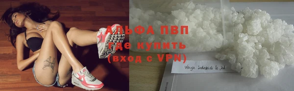 сатива Дмитровск