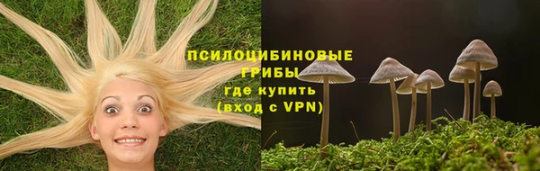 a pvp Ельня