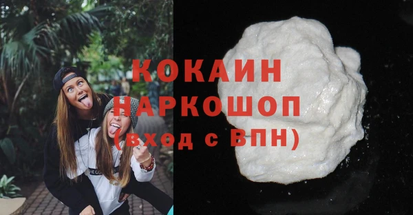 сатива Дмитровск