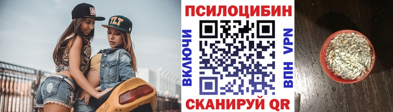 Псилоцибиновые грибы прущие грибы  где можно купить наркотик  Котельнич 