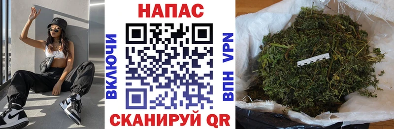 мега вход  Котельнич  МАРИХУАНА план 